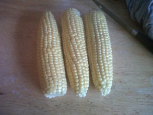 How to grow sweetcorn picture