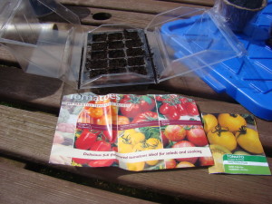 Growing tomatoes from seed 1