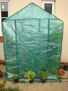 Plastic Greenhouse Closed image