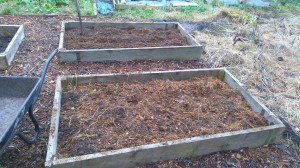 manured raised beds