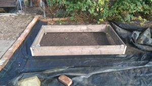 raised bed picture