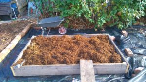 filling a raised bed picture