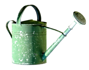 Watering can image